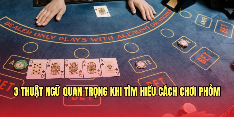 3 thuật ngữ quan trọng khi tìm hiểu cách chơi phỏm