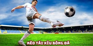 Tài xỉu bóng đá FB88
