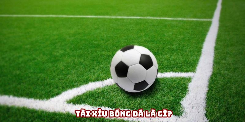 Tài xỉu bóng đá đang được nhiều người ưa chuộng